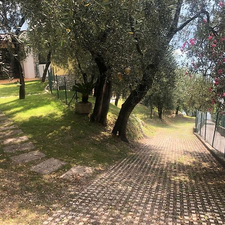 La Casa Sul Lago Apartments - Olive Tree Apartment Limone sul Garda Exterior foto