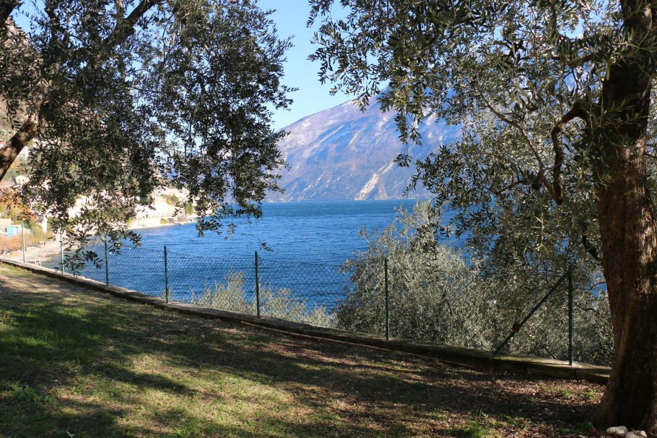 La Casa Sul Lago Apartments - Olive Tree Apartment Limone sul Garda Exterior foto