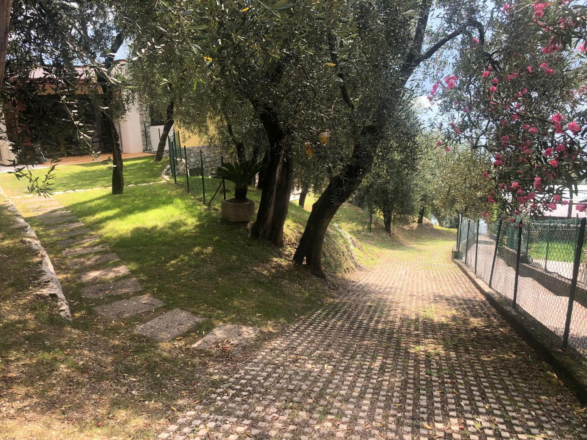 La Casa Sul Lago Apartments - Olive Tree Apartment Limone sul Garda Exterior foto