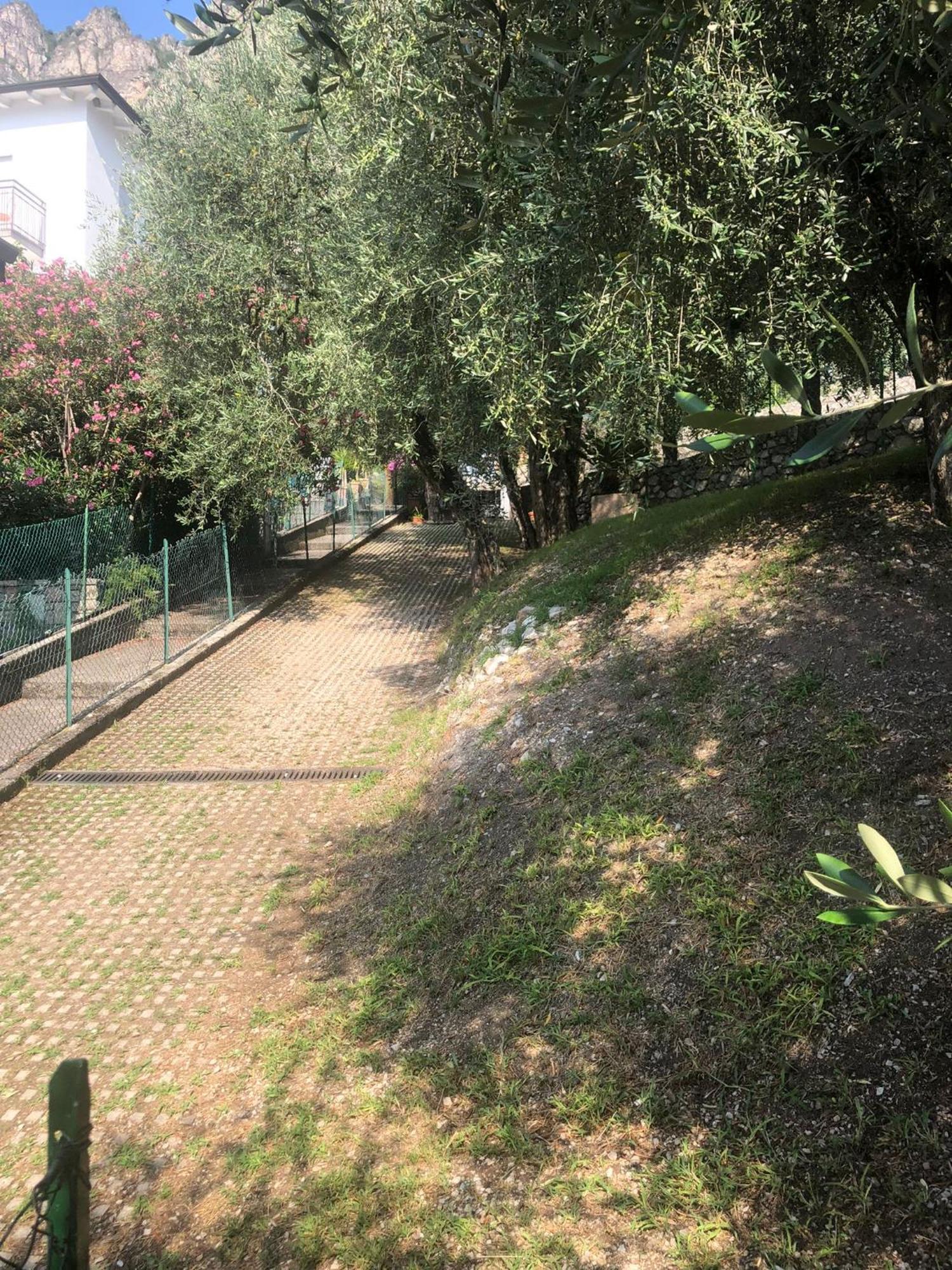 La Casa Sul Lago Apartments - Olive Tree Apartment Limone sul Garda Exterior foto